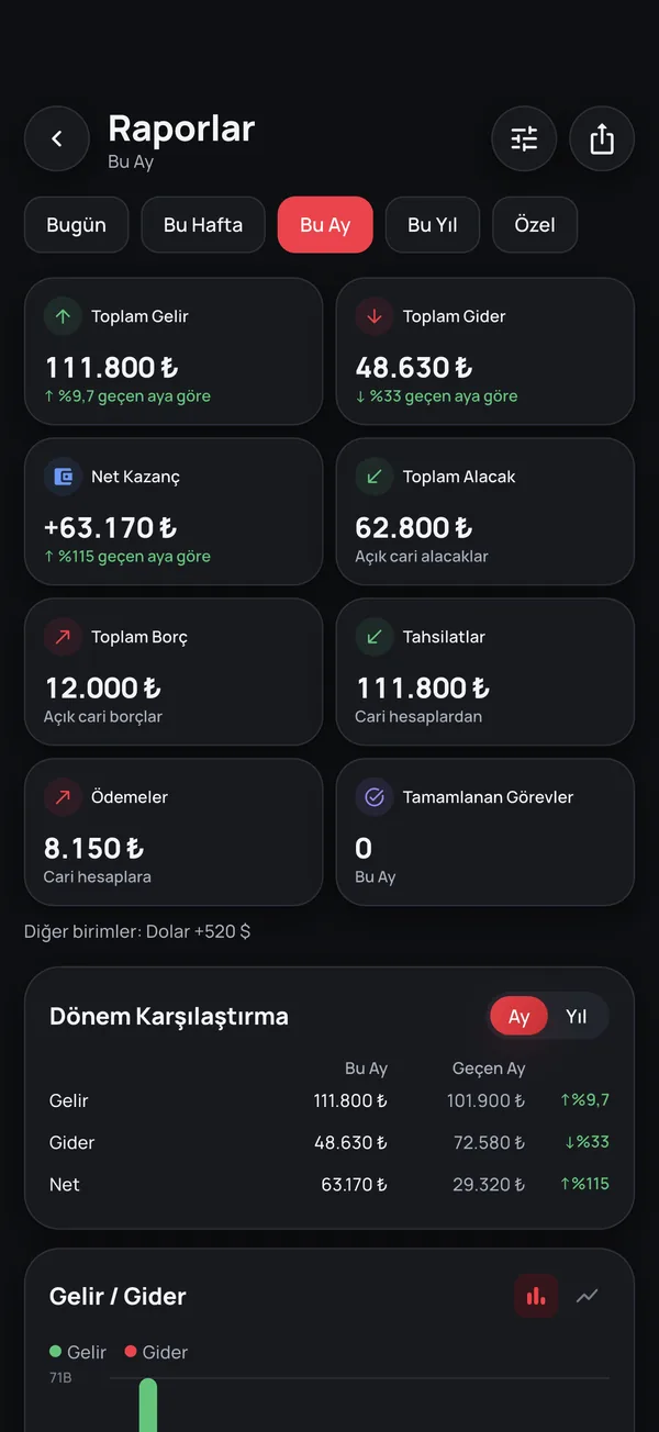 Raporlar: gelir, gider, net kazanç ve dönem karşılaştırma